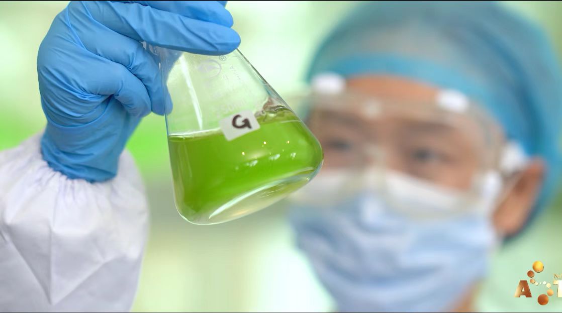 艾詩(shī)特蝦青素 艾詩(shī)特蝦青素