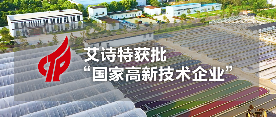 艾詩(shī)特蝦青素 艾詩(shī)特蝦青素