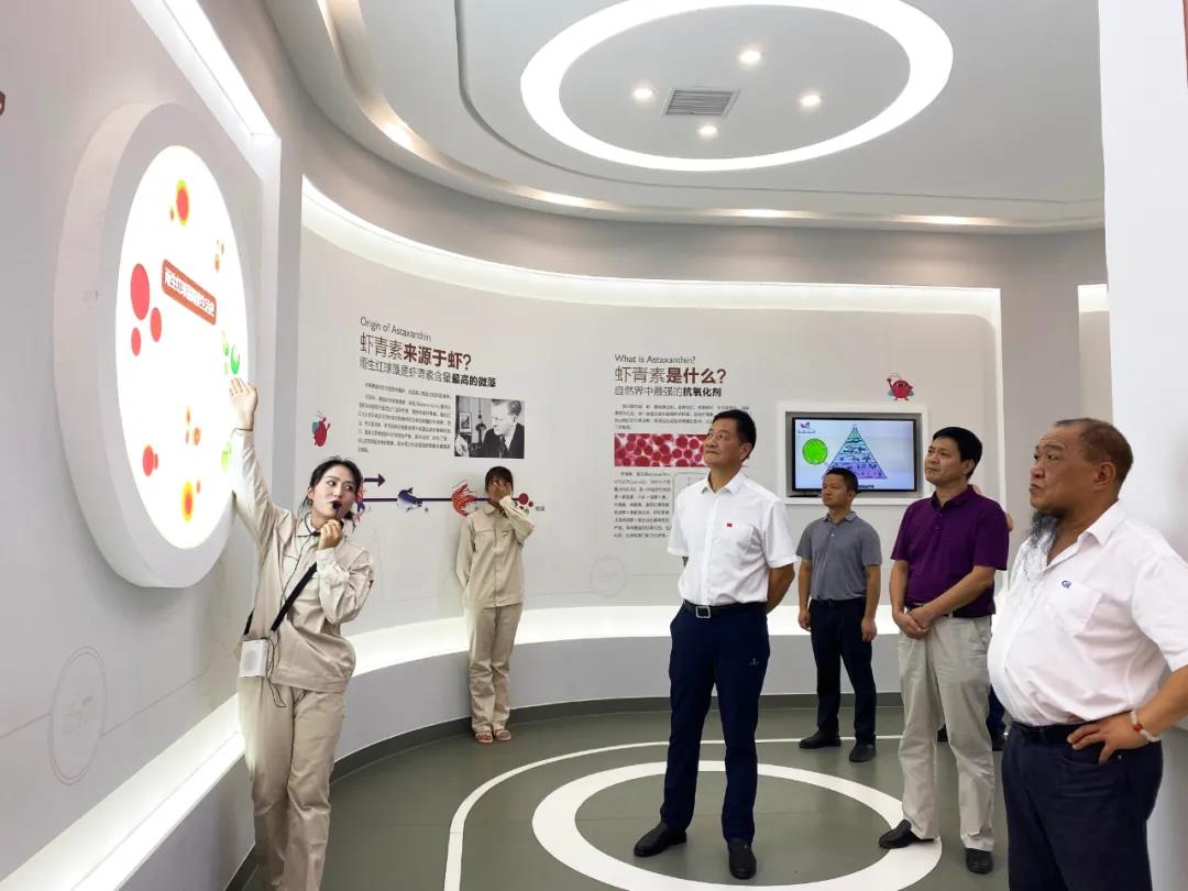 艾詩特蝦青素 艾詩特蝦青素