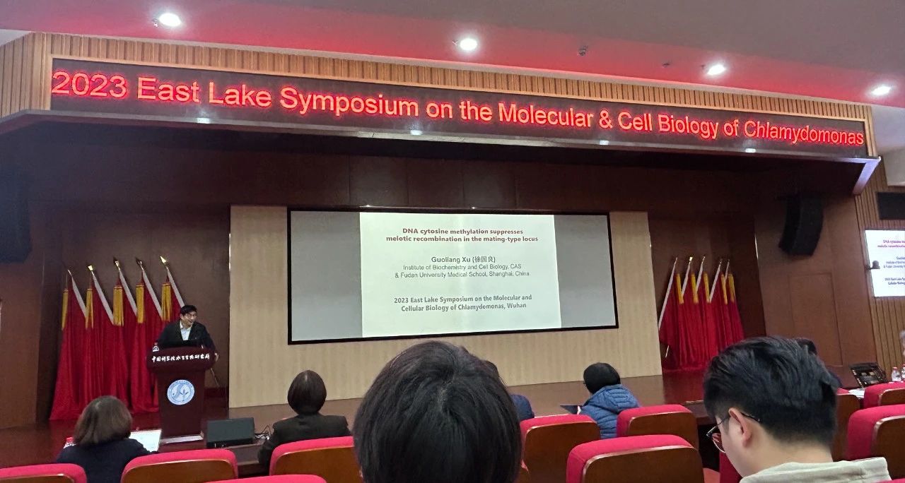 艾詩(shī)特蝦青素 艾詩(shī)特蝦青素