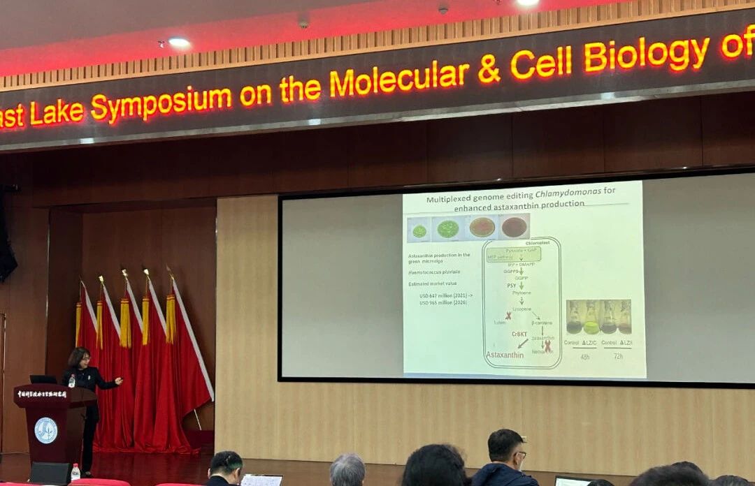 艾詩(shī)特蝦青素 艾詩(shī)特蝦青素