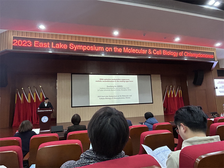 艾詩(shī)特蝦青素 艾詩(shī)特蝦青素