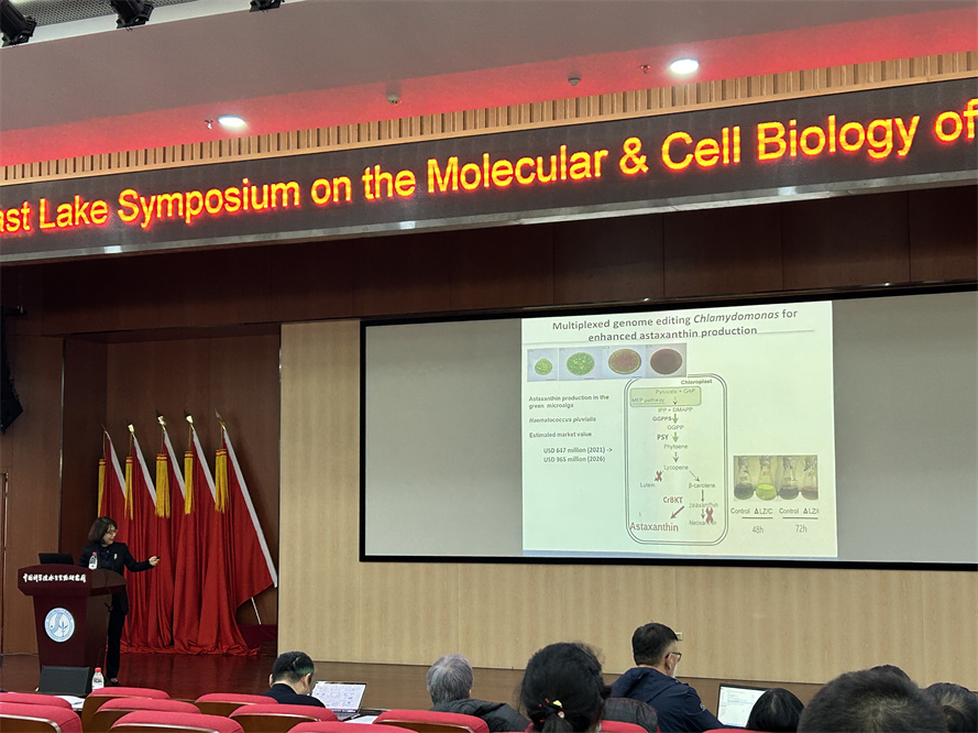 艾詩(shī)特蝦青素 艾詩(shī)特蝦青素