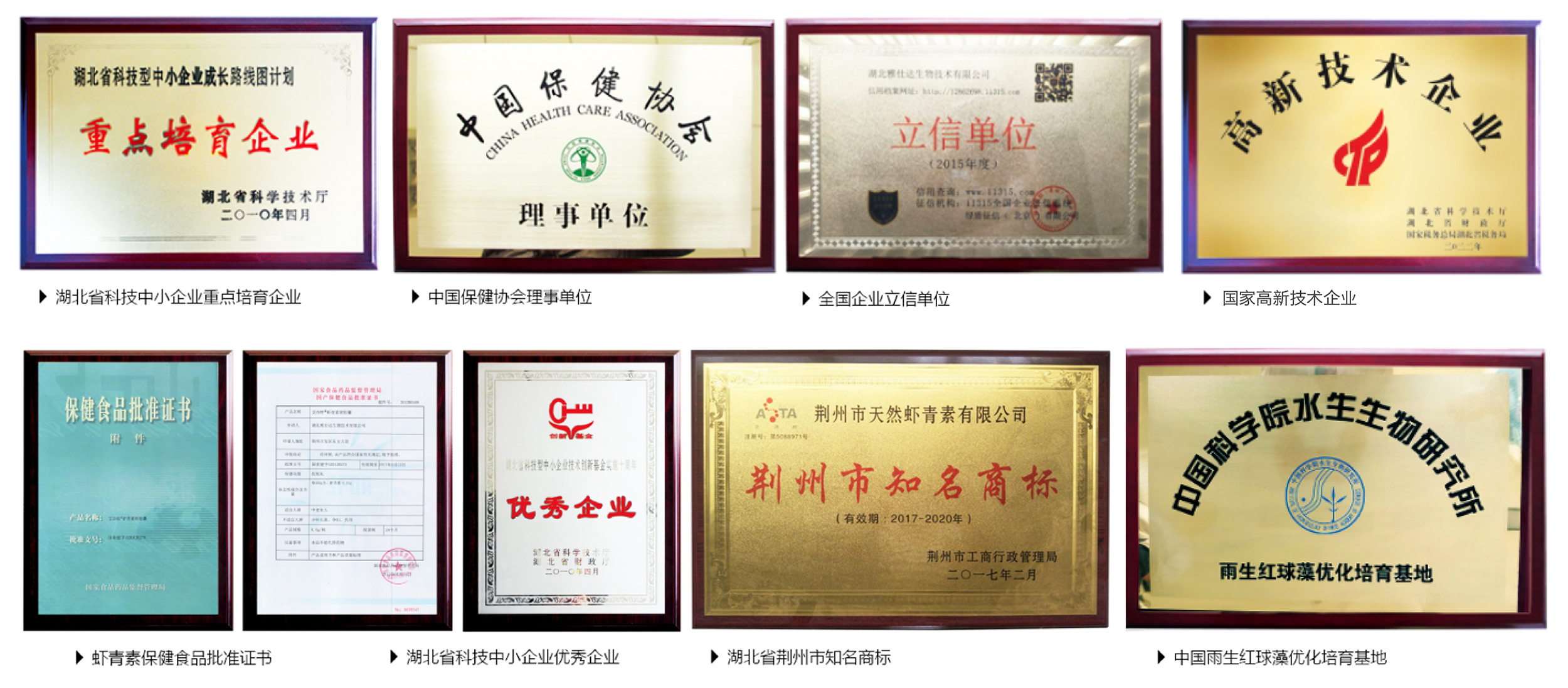 艾詩特蝦青素 艾詩特蝦青素