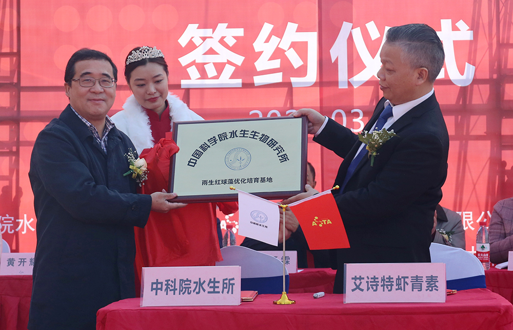 艾詩(shī)特蝦青素 艾詩(shī)特蝦青素