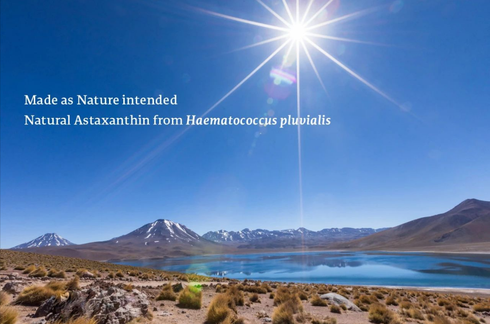 艾詩特蝦青素 艾詩特蝦青素