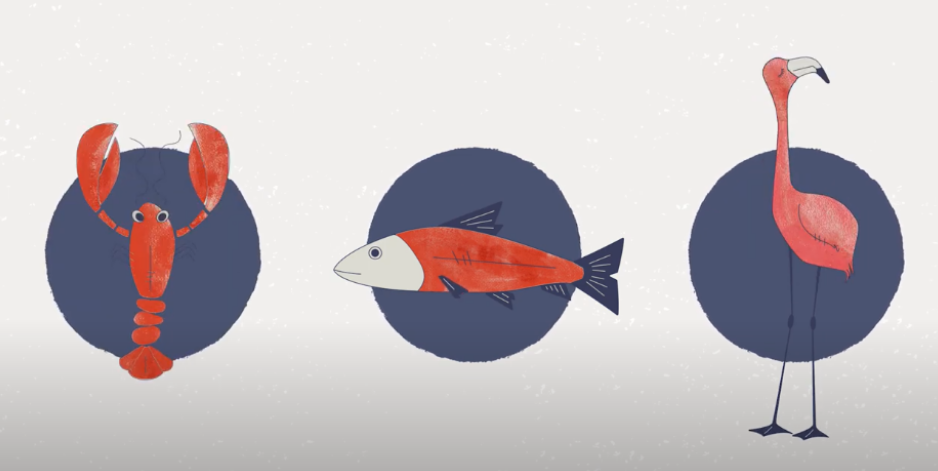 艾詩特蝦青素 艾詩特蝦青素