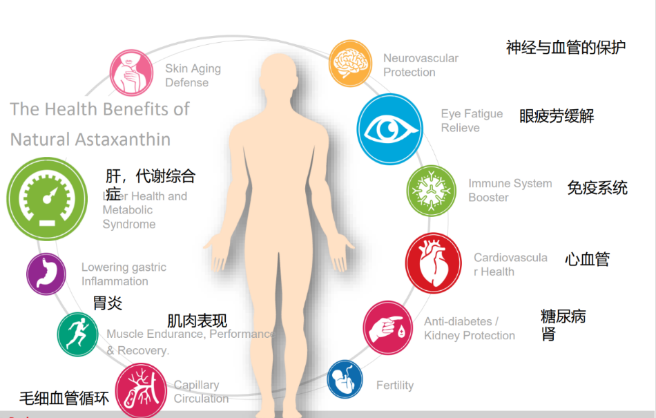 艾詩特蝦青素 艾詩特蝦青素