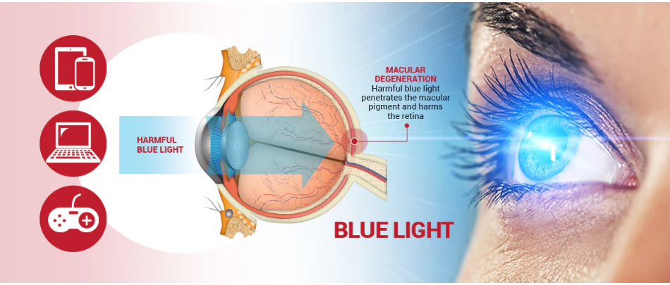 艾詩特蝦青素 艾詩特蝦青素