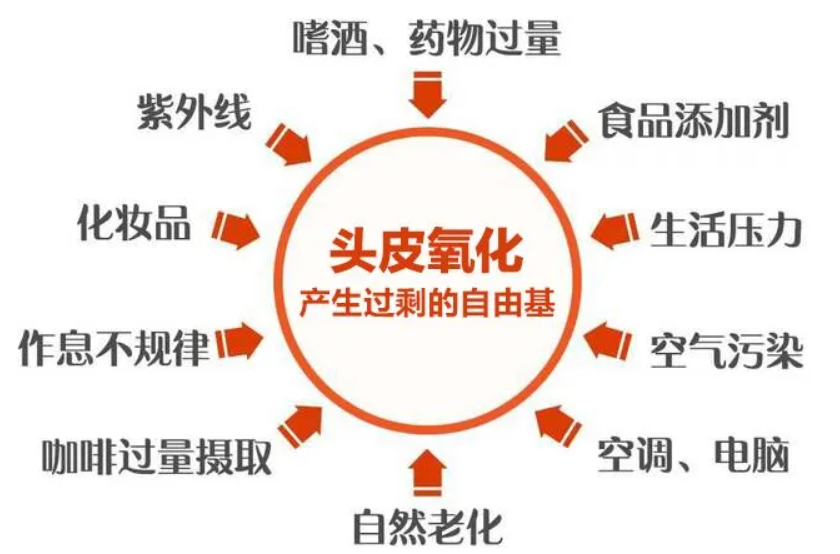 艾詩特蝦青素 艾詩特蝦青素