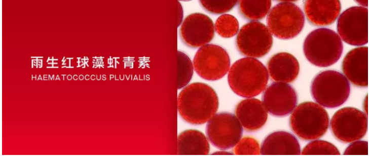 艾詩特蝦青素 艾詩特蝦青素