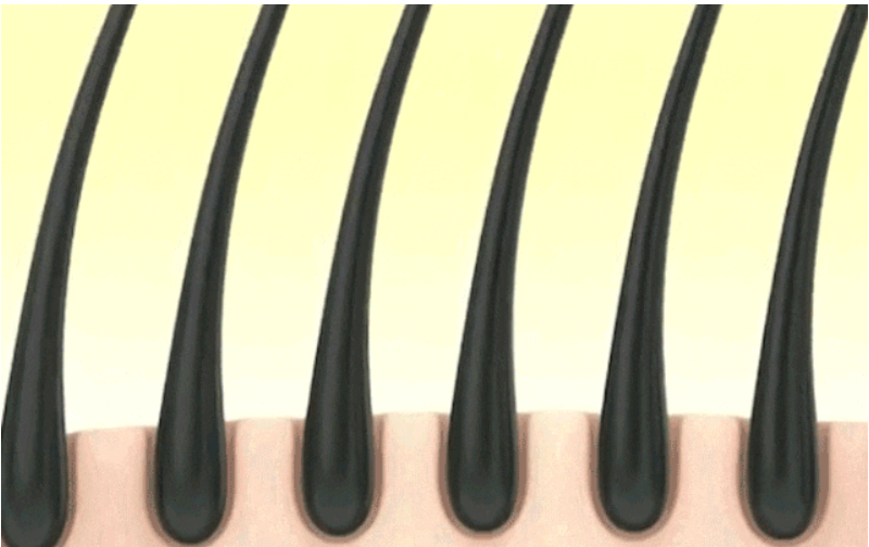 艾詩特蝦青素 艾詩特蝦青素