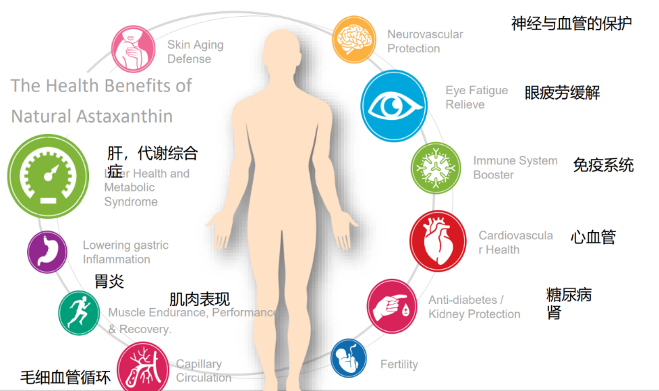 艾詩(shī)特蝦青素 艾詩(shī)特蝦青素