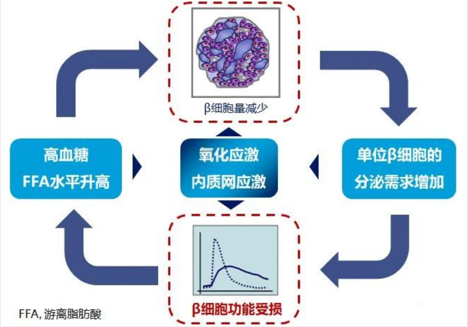 艾詩特蝦青素 艾詩特蝦青素