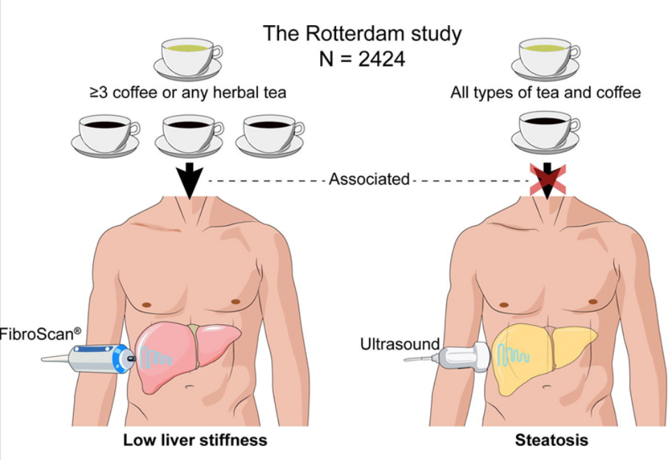 艾詩(shī)特蝦青素 艾詩(shī)特蝦青素