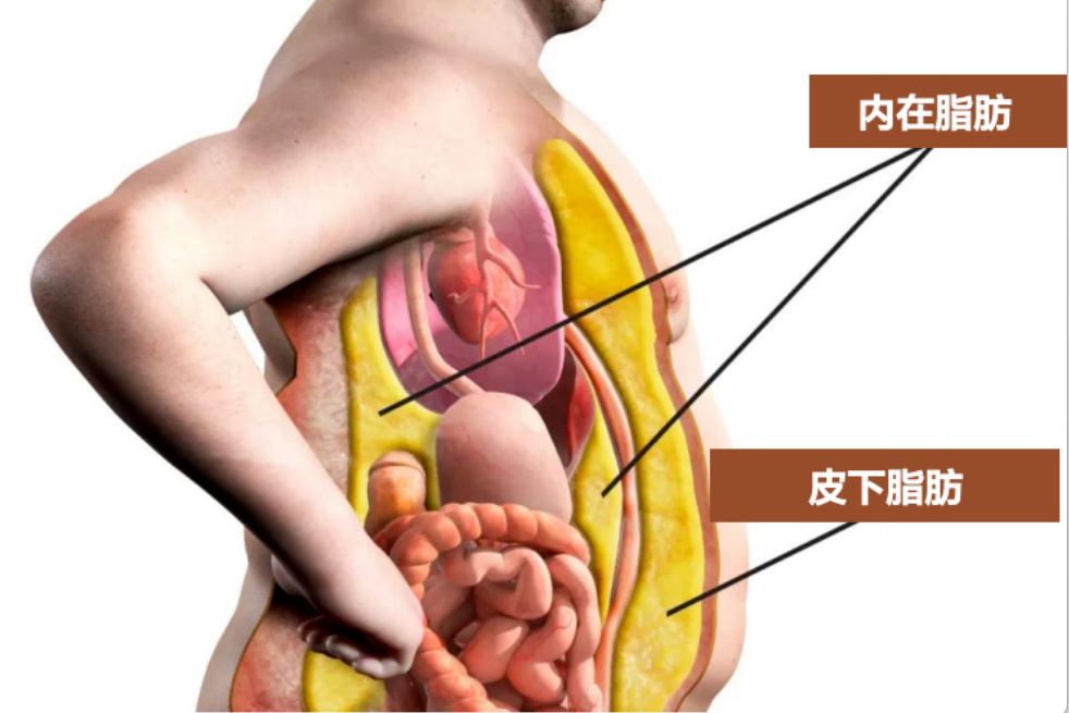艾詩特蝦青素 艾詩特蝦青素