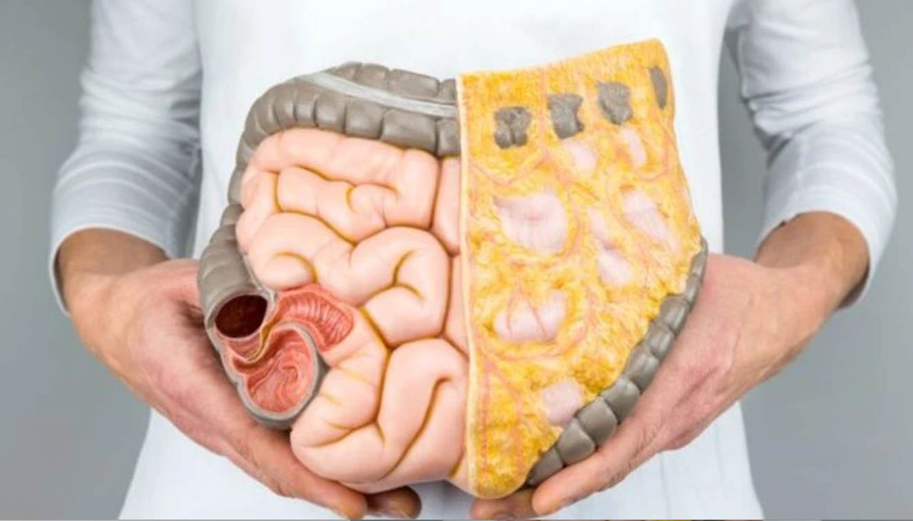 艾詩(shī)特蝦青素 艾詩(shī)特蝦青素