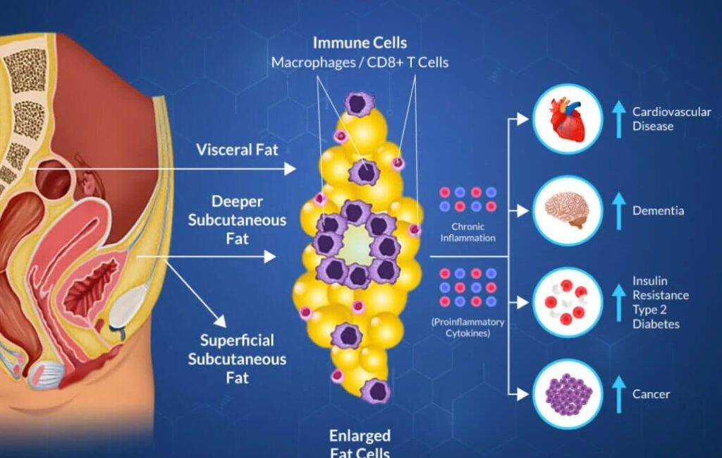 艾詩(shī)特蝦青素 艾詩(shī)特蝦青素