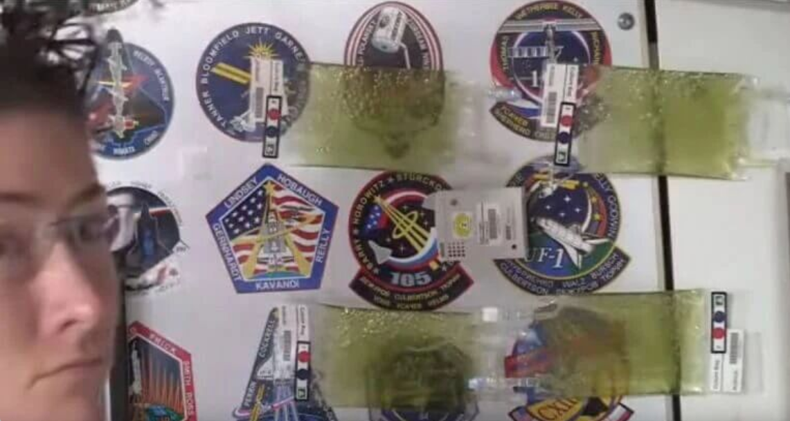 艾詩特蝦青素 艾詩特蝦青素