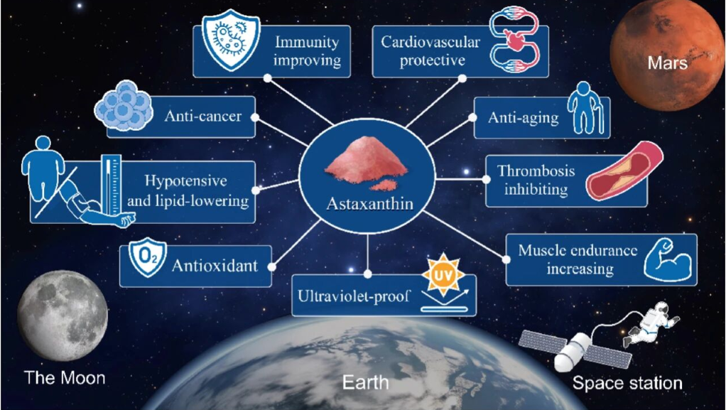 艾詩特蝦青素 艾詩特蝦青素