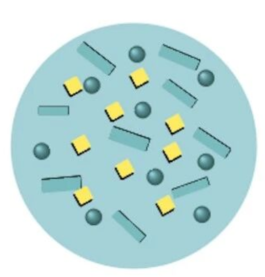 艾詩特蝦青素 艾詩特蝦青素