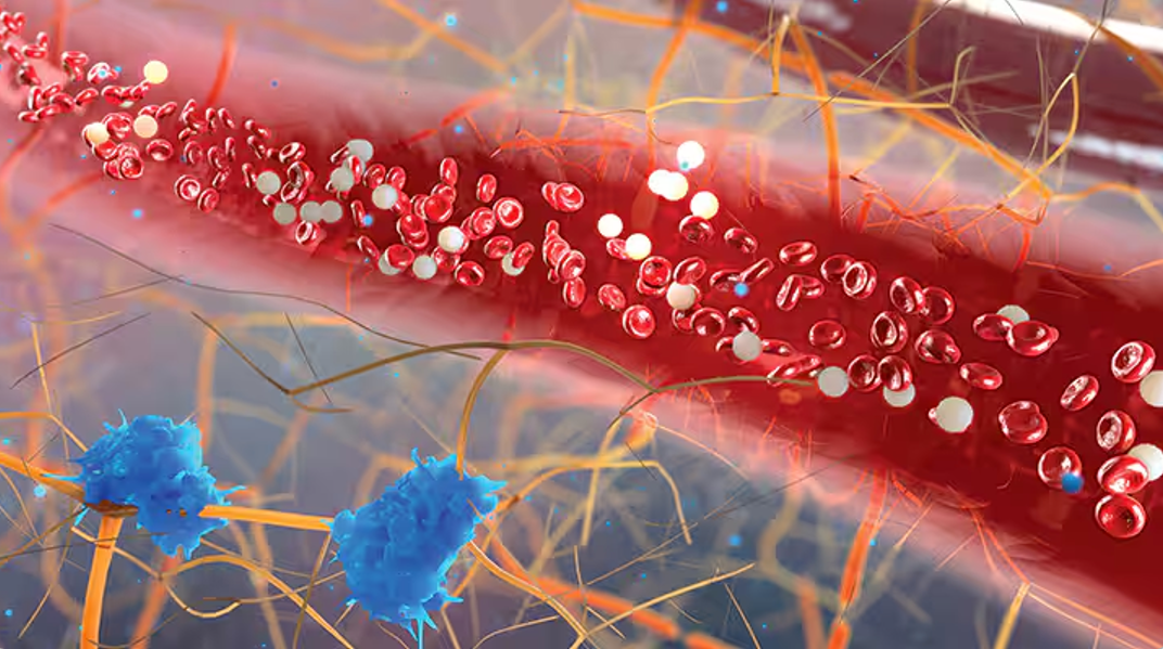 艾詩特蝦青素 艾詩特蝦青素