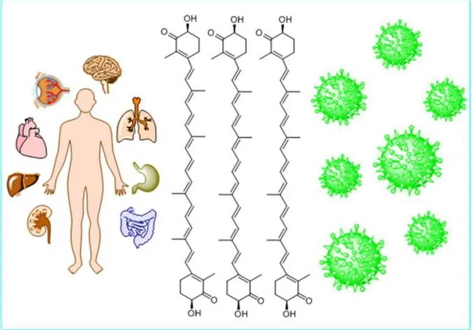 艾詩(shī)特蝦青素 艾詩(shī)特蝦青素