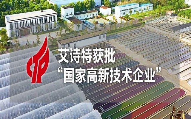 【喜訊】艾詩(shī)特成功獲批“國(guó)家高新技術(shù)企業(yè)”