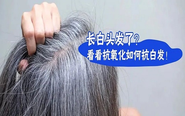 防治白發(fā)要從抗氧化開始？